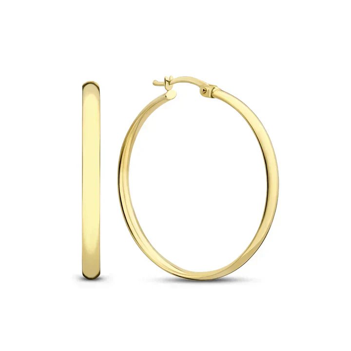 14K Yellow Gold Hoop Earrings